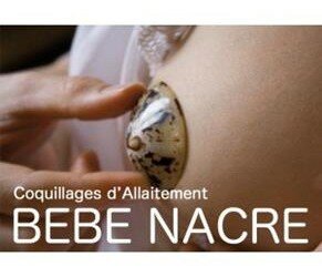 Les coquillages d’allaitement